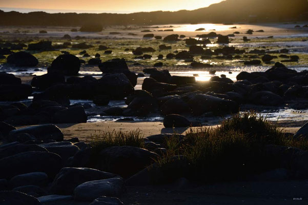 CA0085 WCT Cribs Creek Sunset