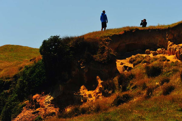 Neuseeland.Cape Farewell