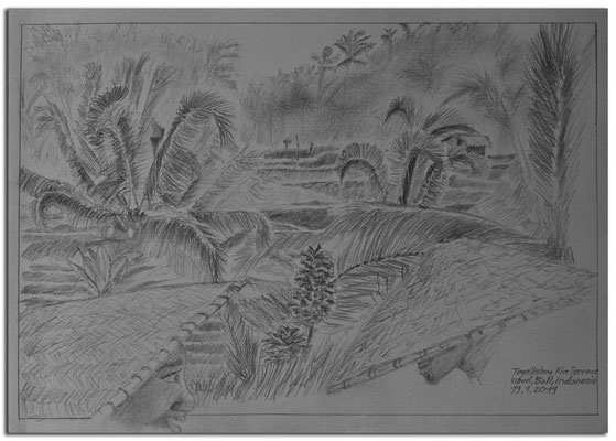 204.Skizze.Tegallalang Rice Terrace.Ubud.Bali.Indonesia