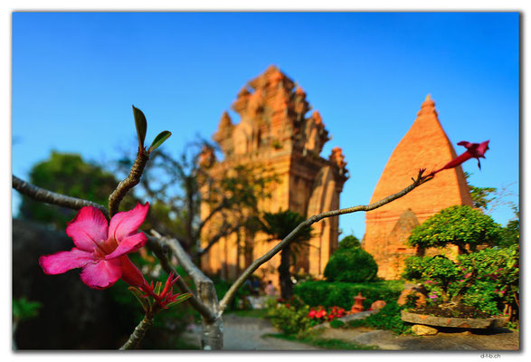 VN0268.Nha Trang.Thap Ba Pongar