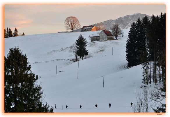 A0893.Silvesterchlausen.Waldstatt