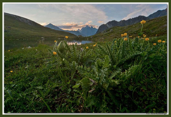 A0647.Novaier Seeli.Klosters.CH