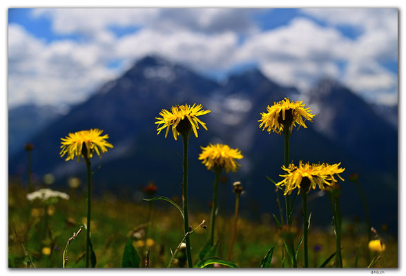 CH1194.Scuol.Motta Naluns