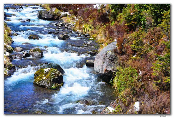 NZ0313.Tongariro N.P.Whakapapanui Stream