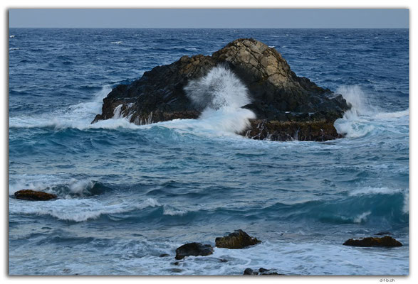AW0035.Conchi Natural Pool