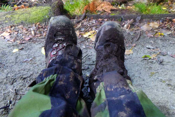 Neuseeland.Stewart Island,Rakiura Track, Muddy Boots