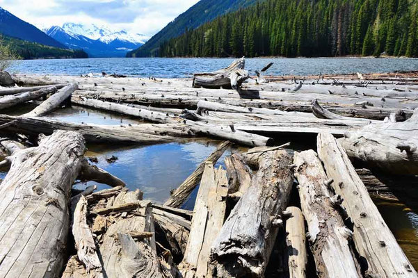 CA0171 Duffey Lake