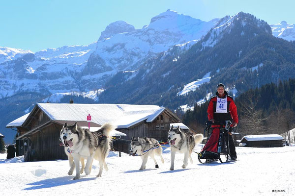 CH1345.SH-Rennen Lenk.Broder René