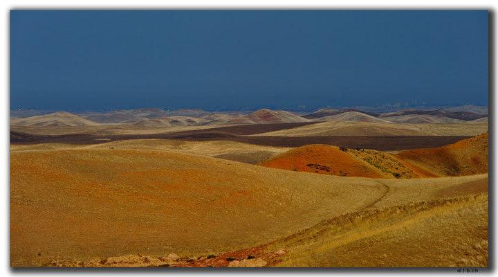 KZ0009.Steppe
