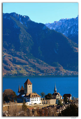 CH1071.Schloss Spiez