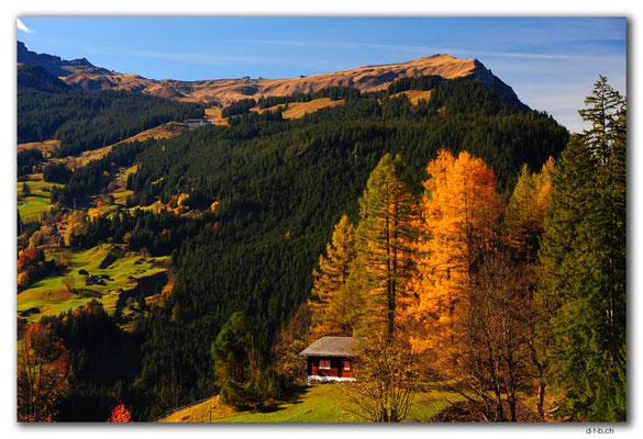 GW0171.Männlichen