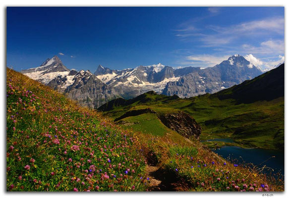 GW0380.Bergwiese mit Aussicht