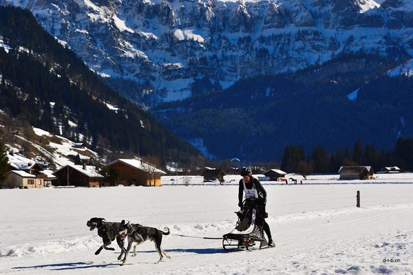 CH1414.SH-Rennen Lenk.Hilfiker Manuela
