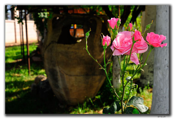 TR0620.Mersin.Rosen im Museumsgarten