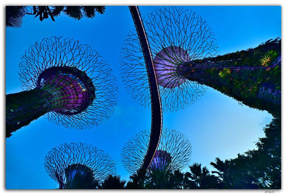 SIN0066.Gardens by the Bay.Supertrees