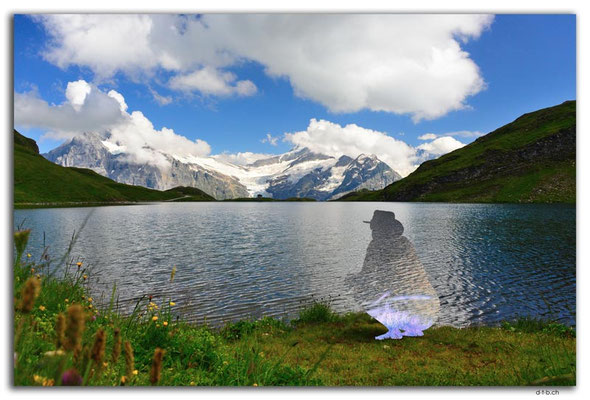 GW0363.Bachalpsee