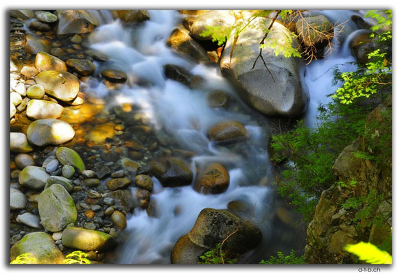 CA0504.Vancouver.Lynn Creek
