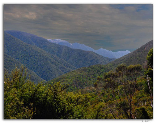 NZ0583.Anatoki Track.Anatoki Range