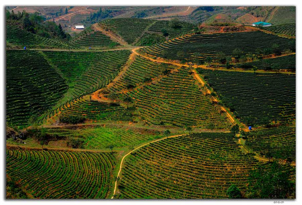 VN0064.Sapa.Valley