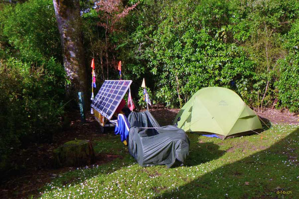 NZ: Solatrike in Pelorus Bridge Camping