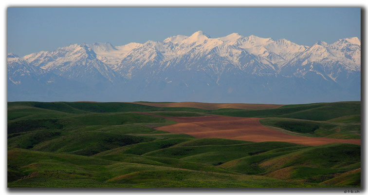 KZ0097.Kyrgyz Ala-Too