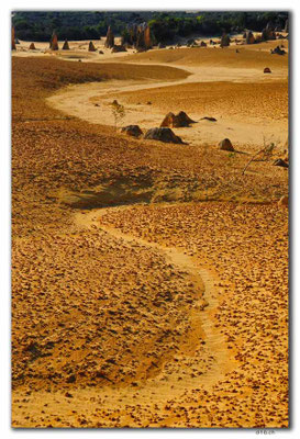 AU0598.Nambung N.P.Pinnacles