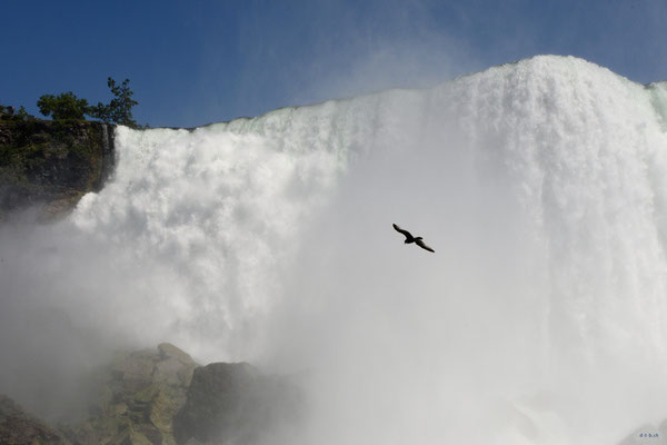 CA0417 Niagara Falls