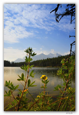 CA06314.Herbert Lake