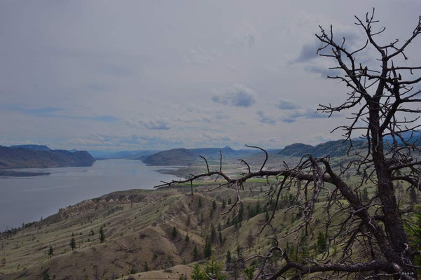 CA0190 Kamloops Lake