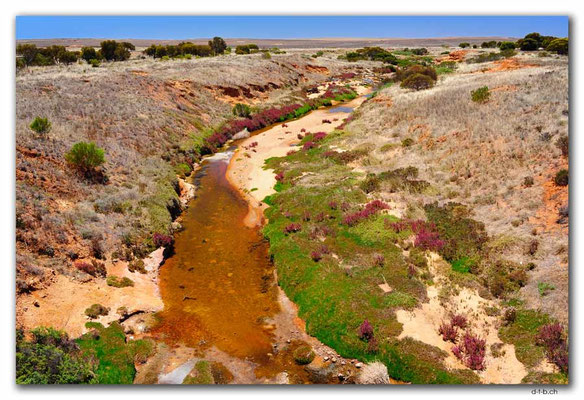 AU1036.Eyre Peninsula.Salty Creek
