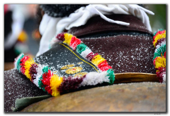 CH0987.Silvesterchlausen.Waldstatt