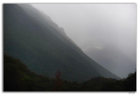 NZ0671.Nelson Lakes N.P.Travers Range in fog