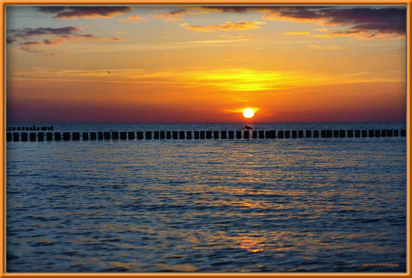 A0490.Zingst.
