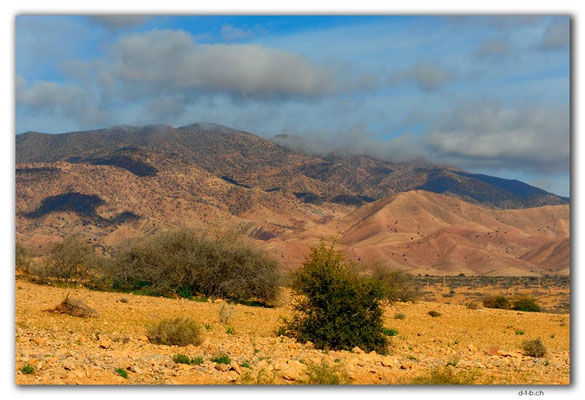 MA0178.Boulgou