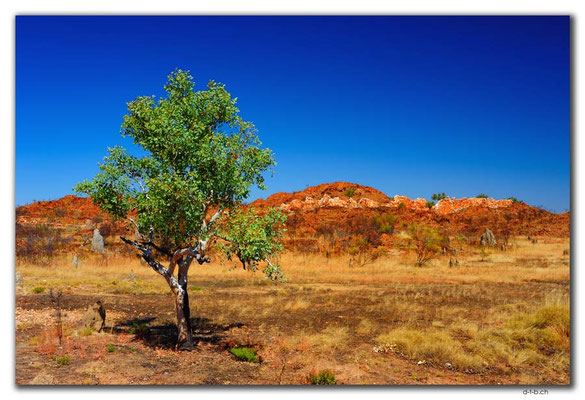 AU0207.Halls Creek.China Wall