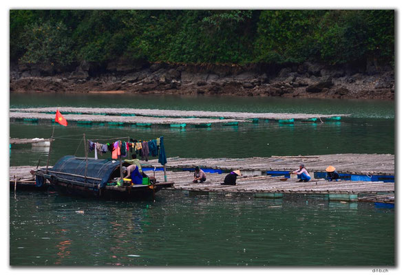 VN0007.Ha Long Bay, Fischer