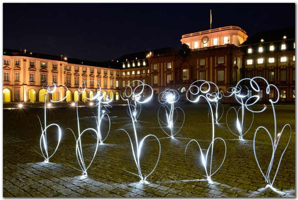 DE006.Universität Mannheim