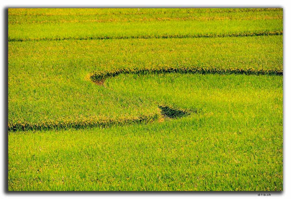 KR0118.Feld