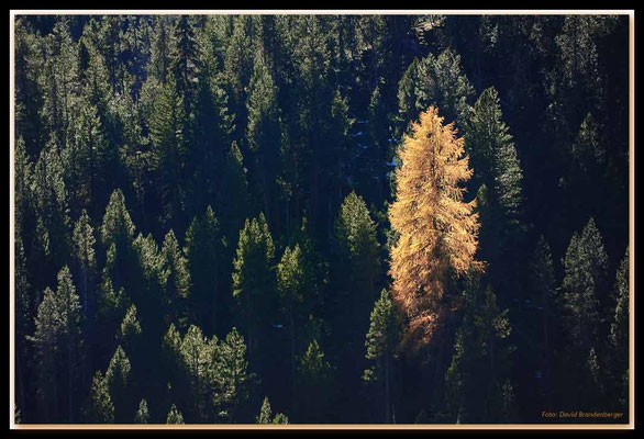 A0576.Nationalpark.CH