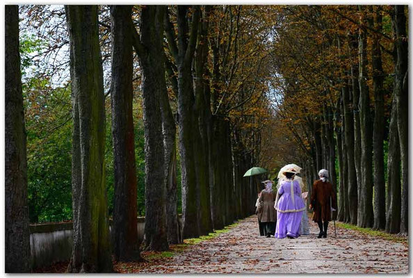 DE201.Schwetzingen.Schlossgarten