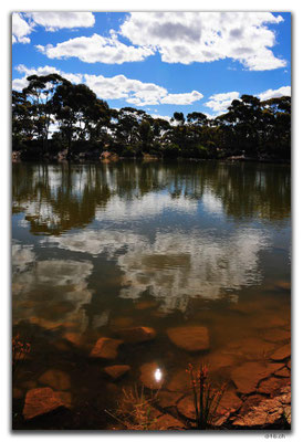 AU0882.Bromus Dam