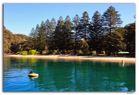 AU1692.Sydney.Pittwater.The Basin Wharf
