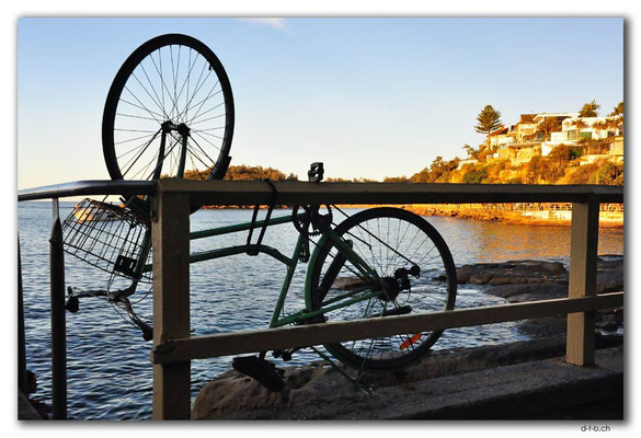 AU1543.Sydney.Manly Marine Parade.Velo