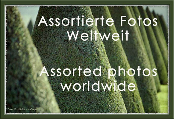 Fotogalerie Assortierte Fotos Weltweit / Photogallery Assorted Photos worldwide