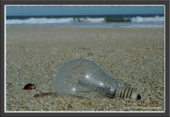 A0242.Strandgut.UY