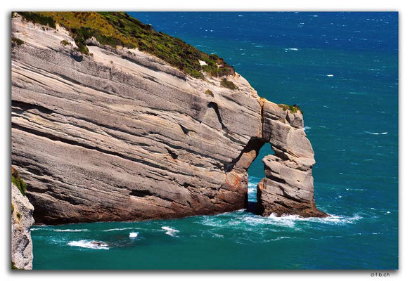 NZ0620.Puponga Farm Park.Cape Farewell