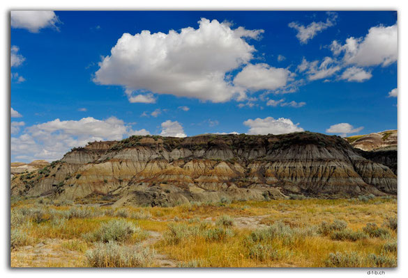CA0719.Horseshoe Canyon