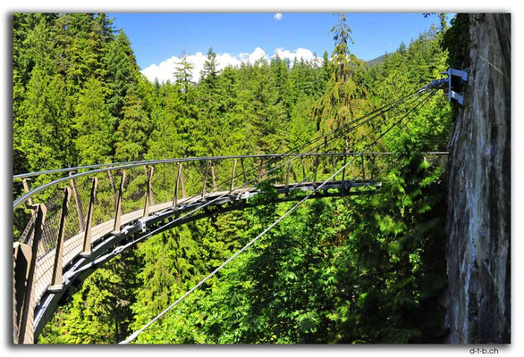 CA0518.Vancouver.Capilano Cliffwalk