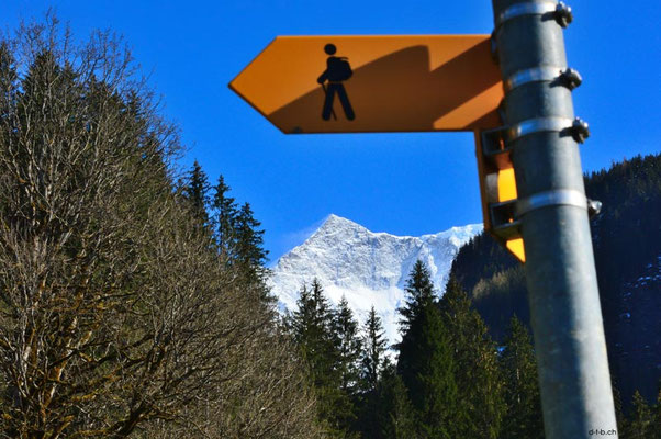 Schweiz.Grindelwald3