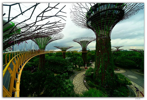 SIN0111.Gardens by the Bay.Supertrees
